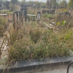 Уборка могилы. Северное кладбище. До