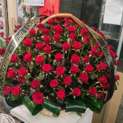 Корзина с живых цветов (100 роз)