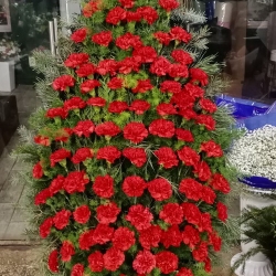 Ритуальный венок из живых цветов_35