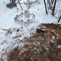Захоронение кота