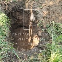 Похороны собаки