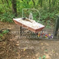 Похороны собаки