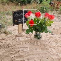 Похорон собаки