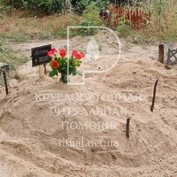 Захоронение собаки