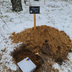 Поховання тварин у Києві