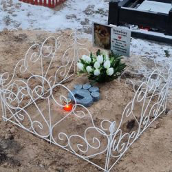 Поховання тварин у Києві