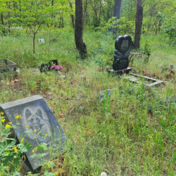 Кладовище для тварин. Поховання тварин