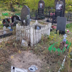 Цвинтар для тварин. Поховання урни. Встановлення пам'ятника Лапа