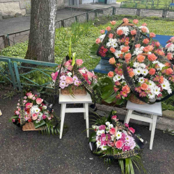 Кошик із живих квітів
