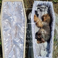 Похорон собаки