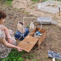 Похорон кота