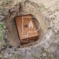 Похорон кота