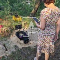 Поховання кота