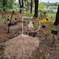 Похорон кішки