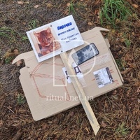 Похорон кішки