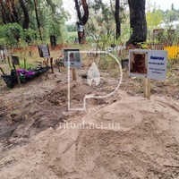 Поховання кішки